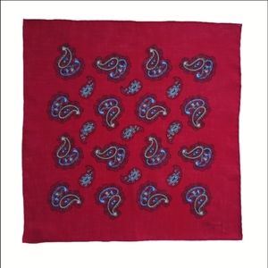 Petronius 1926 Paisley Design Linen Pocket Square Red Background
